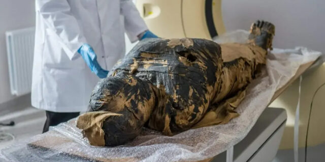 Судмедэксперты воссоздали лицо мумии беременной женщины возрастом 2000 лет