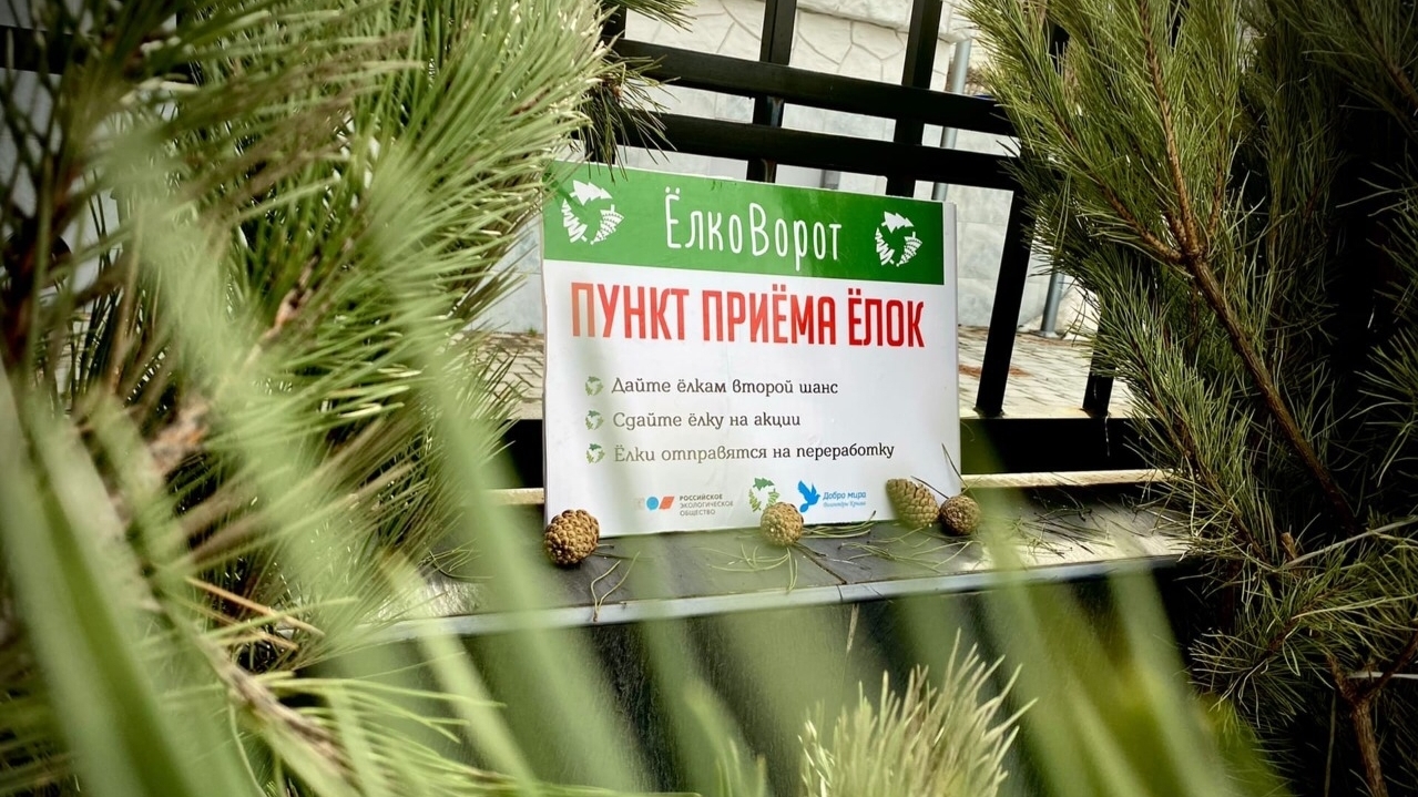 У крымчан будет два дня в январе, чтобы сдать на переработку новогодние ели