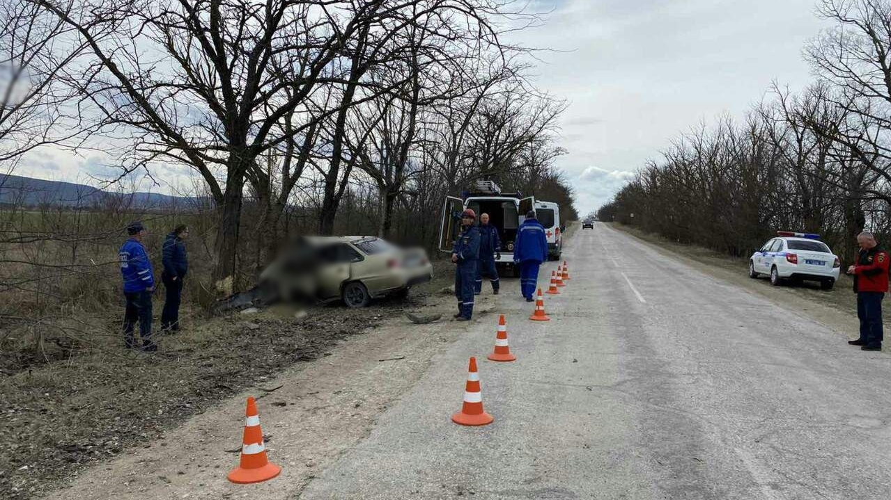 В Белогорском районе иномарка влетела в дерево, водитель погиб