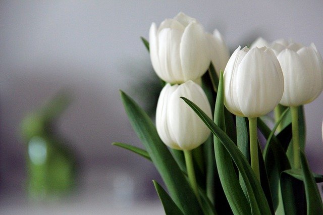 Почти 40% мужчин РФ не планируют дарить цветы и подарки на Восьмое марта
