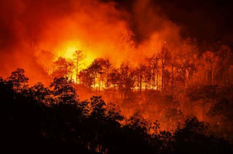 На всей территории Хабаровского края введен режим ЧС из-за лесных пожаров