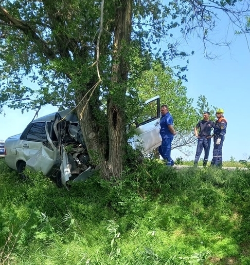 На западе Крыма Lada Priora влетела в дерево: водитель погиб