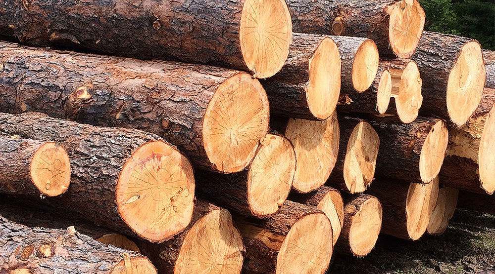 Китаец украл в России древесину на 1,5 млрд рублей