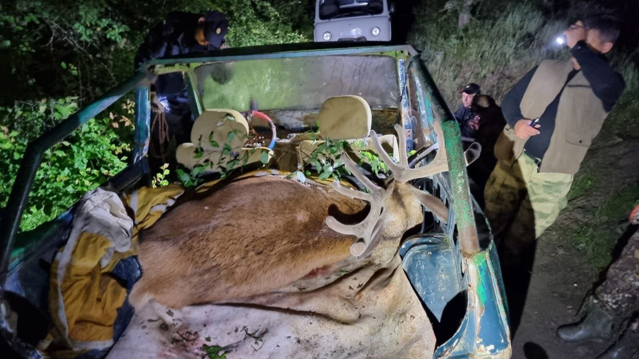Сотрудники МВД и ФСБ задержали крымчан по подозрению в убийстве благородного оленя