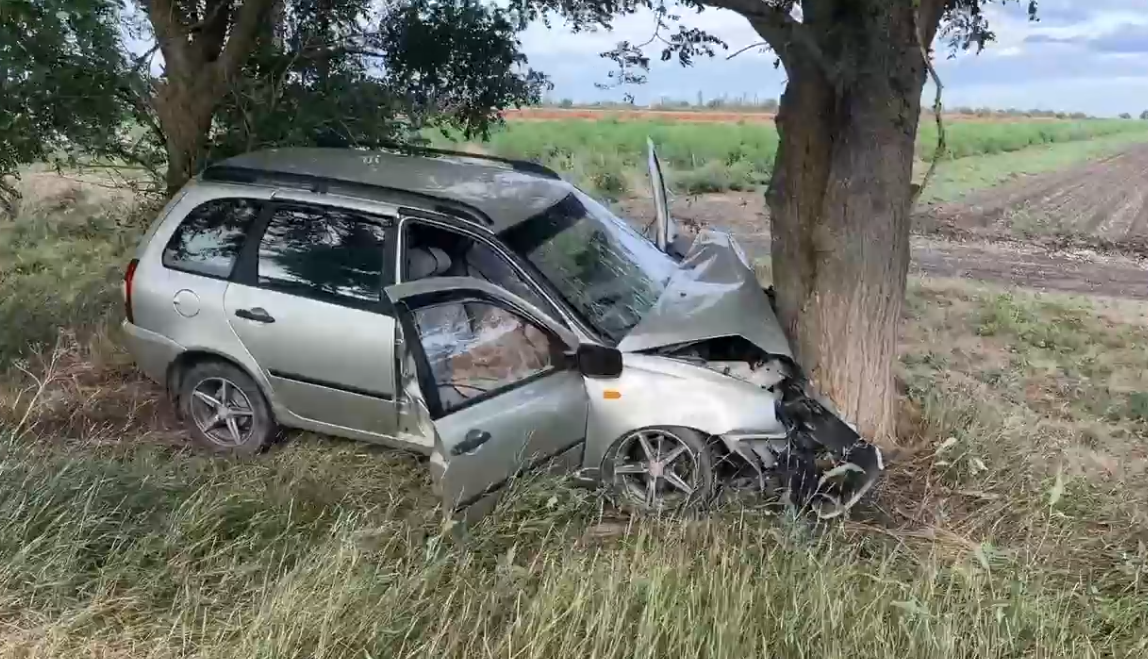 На севере Крыма автомобиль с матерью и ребенком влетел в дерево: женщина погибла