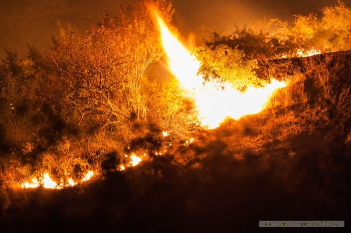 В Севастополе с начала года локализован первый природный крупный пожар