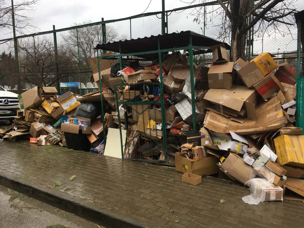 Губернатор Севастополя: горхоз и муниципалы сваливают друг на друга работу по уборке мусора