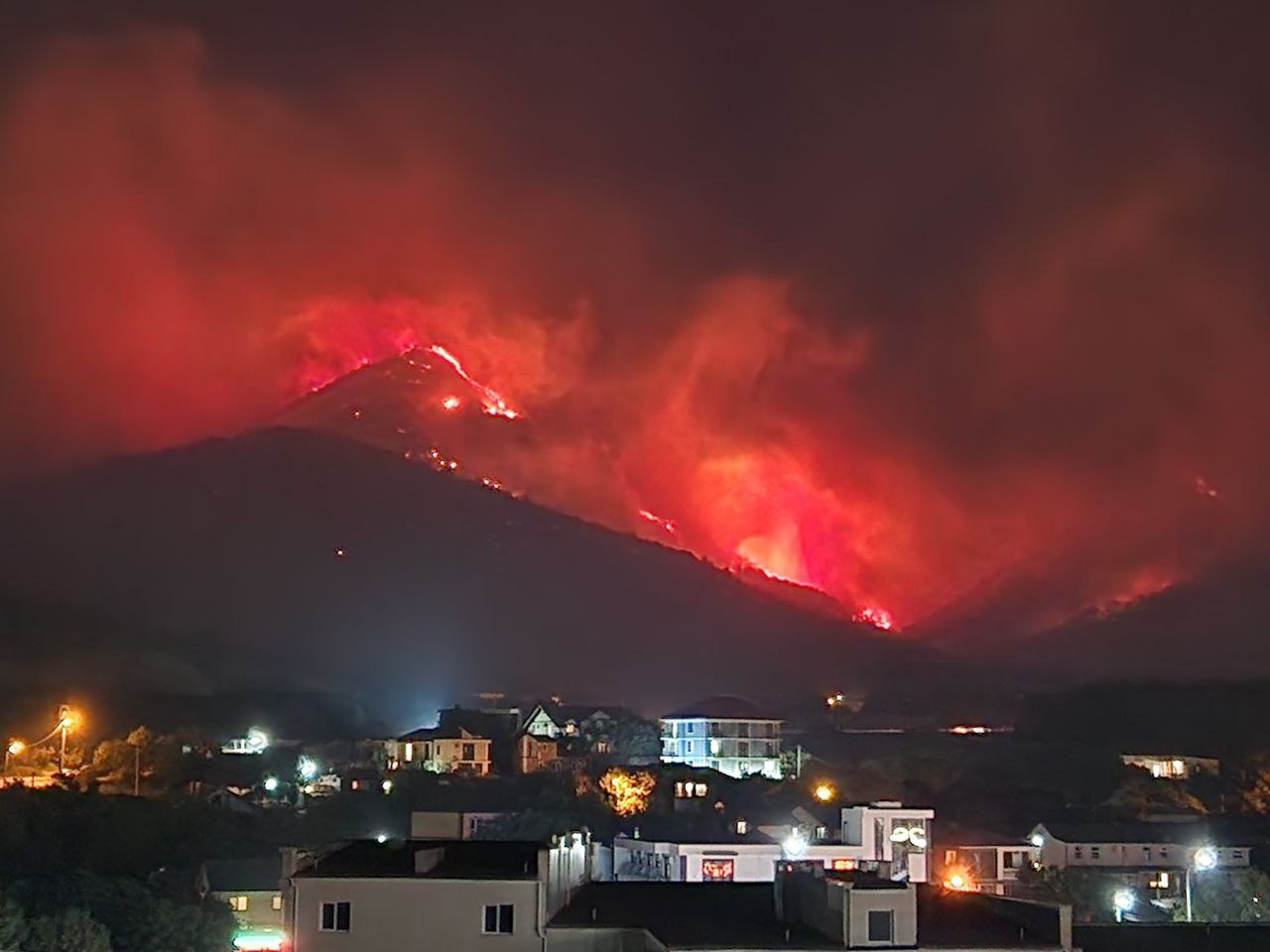 Площадь лесного пожара в Геленджике достигла 118 га