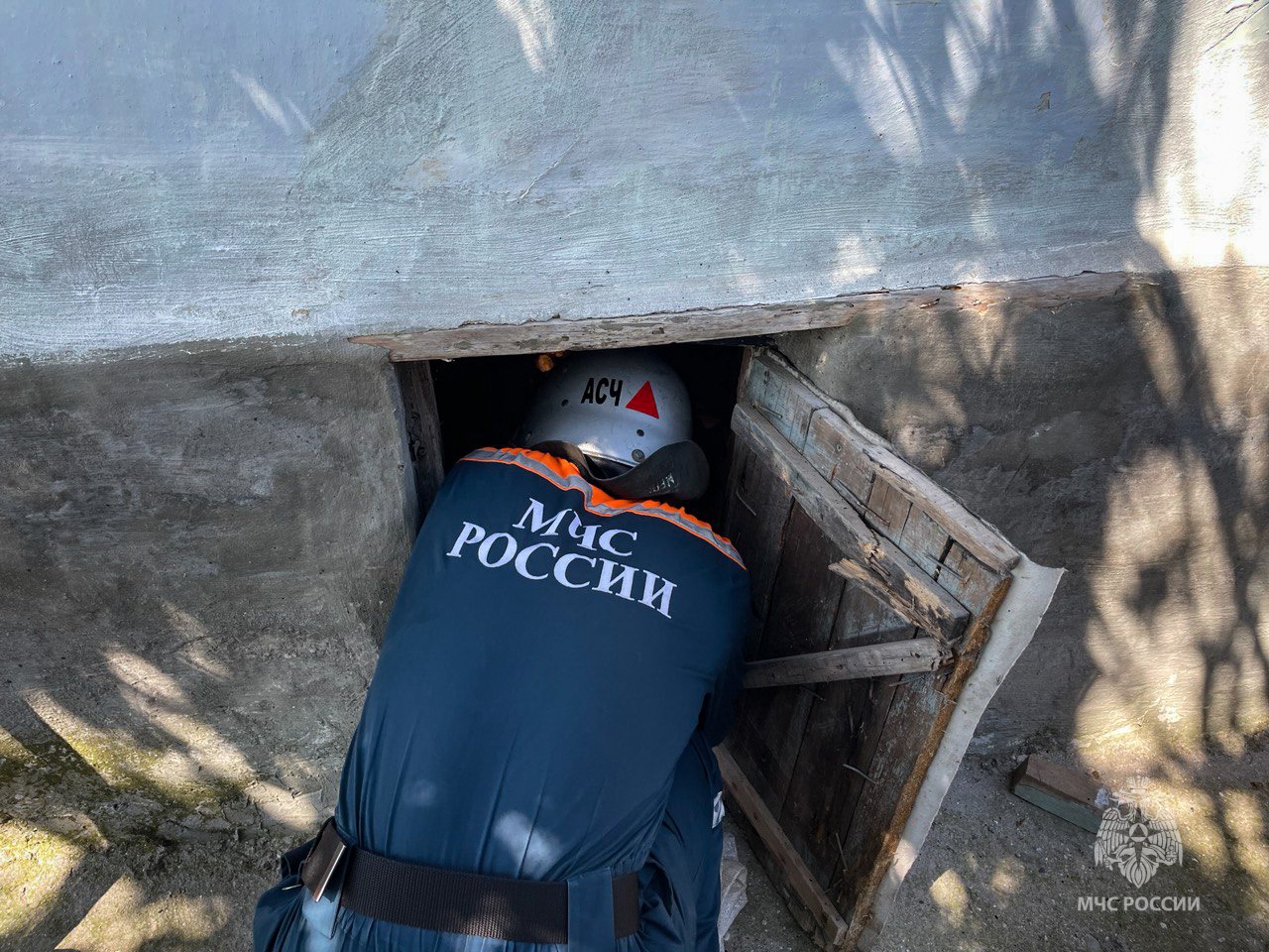 В Севастополе спасатели МЧС достали из ямы щенка (фото, видео)