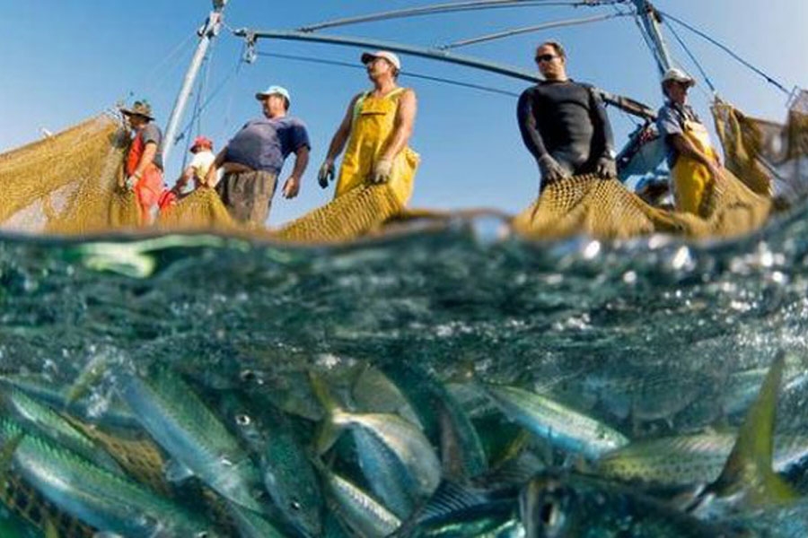 К концу августа рыбаки Азовского и Черного морей снизили вылов рыбы на 6,9%