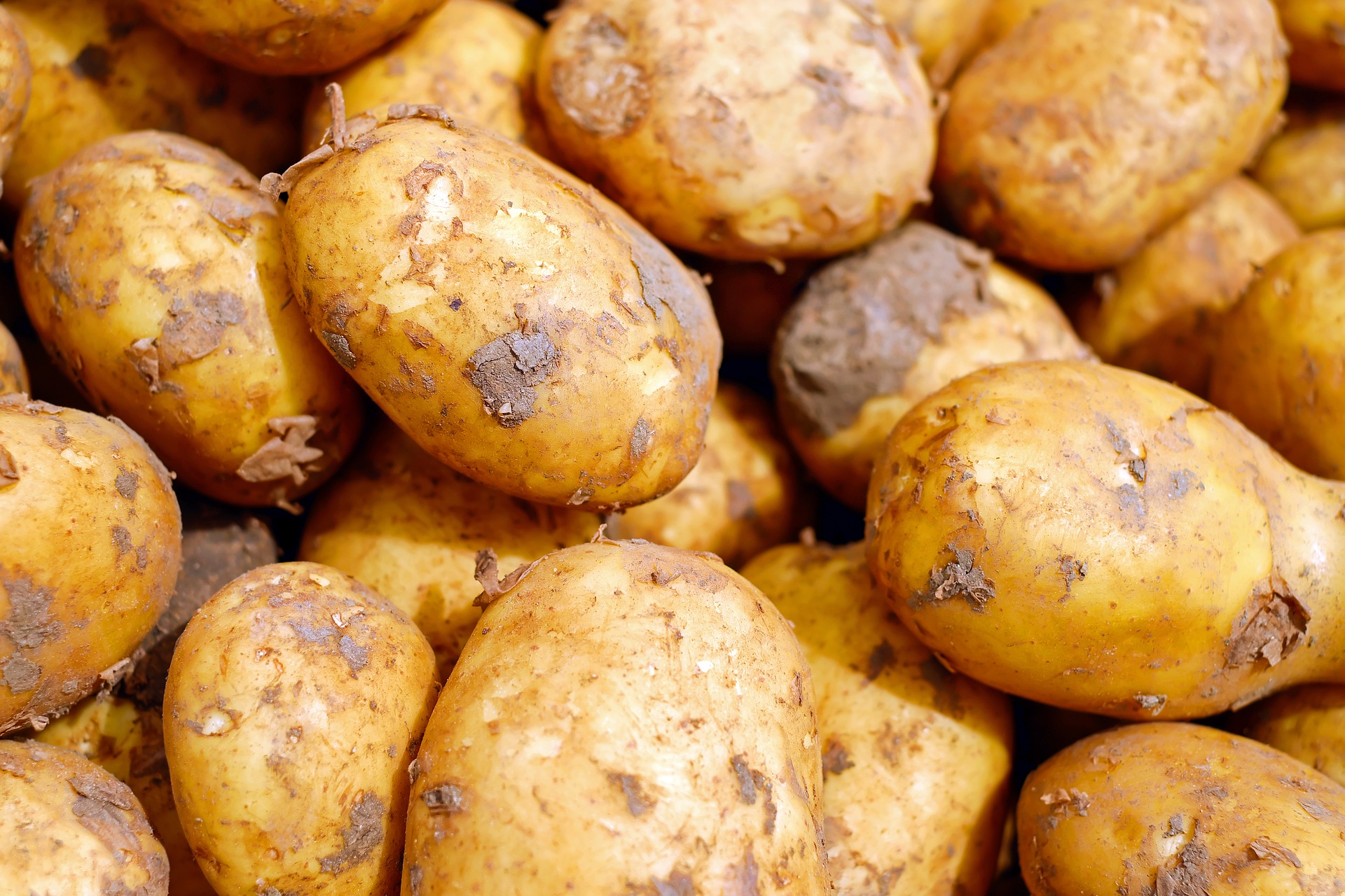 Во Владивостоке два человека умерли от испарений гниющего картофеля