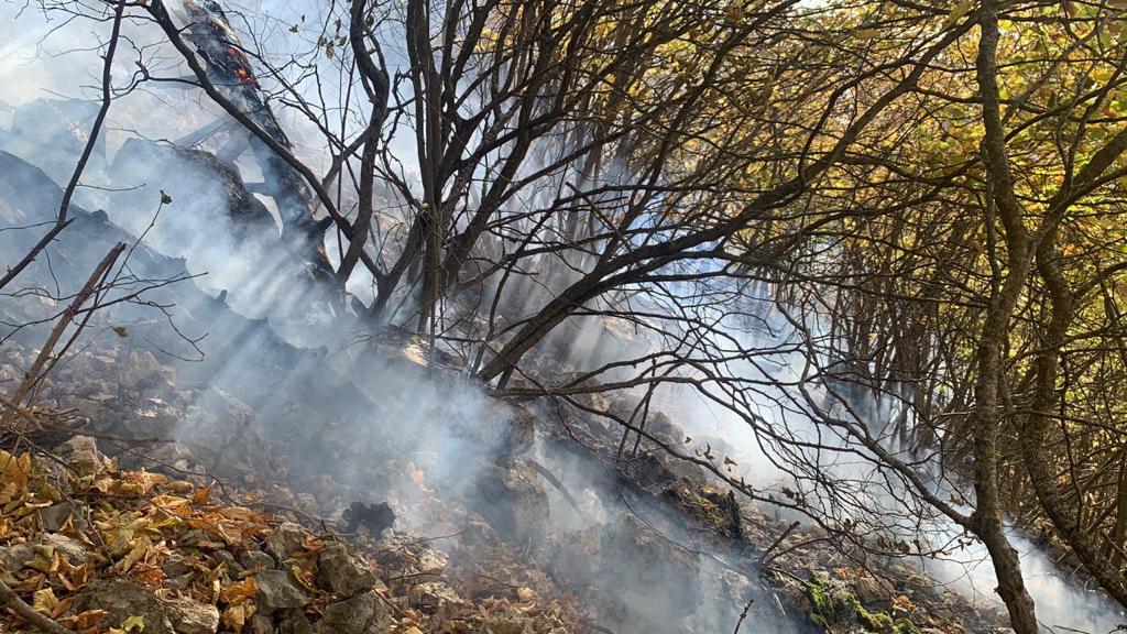 «Боролись с огнем четыре дня»: в Крыму потушили крупный лесной пожар