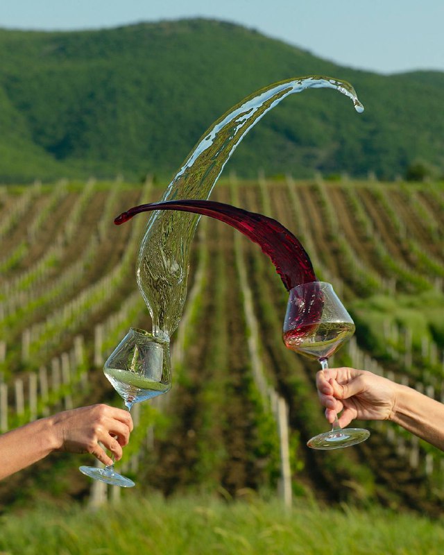 Две севастопольские винодельни завоевали награды первого ежегодного винного конкурса