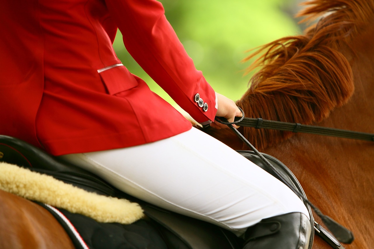 Международная федерация конного спорта допустила россиян к турнирам в нейтральном статусе