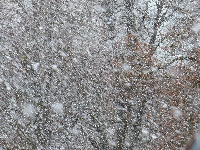 Снег, ветер, дождь: в Севастополе на выходных ожидается минусовая температура