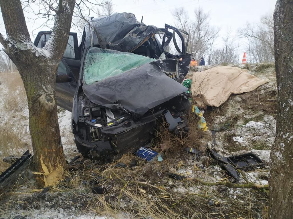 Смертельное ДТП на севере Крыма: водитель врезался в дерево