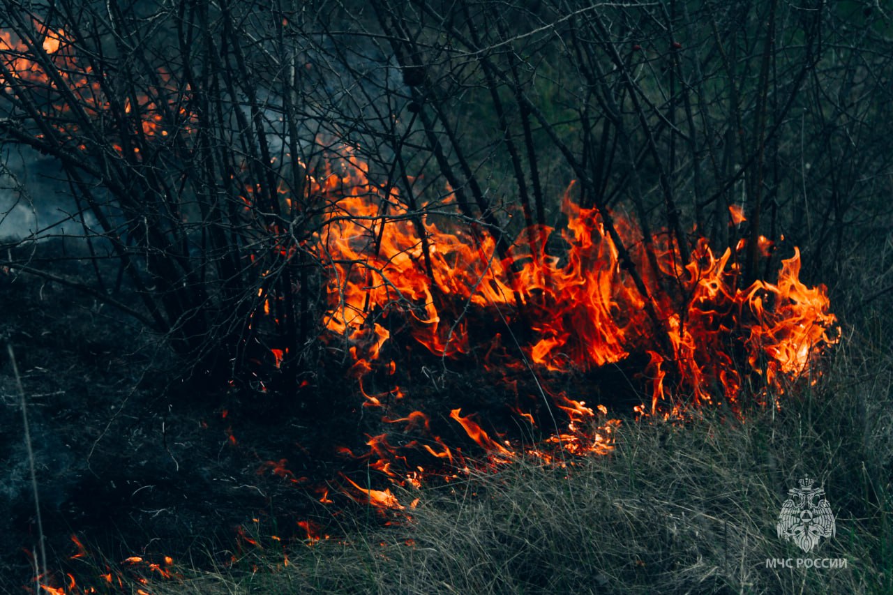 В Севастополе горели 70 квадратных метров травы