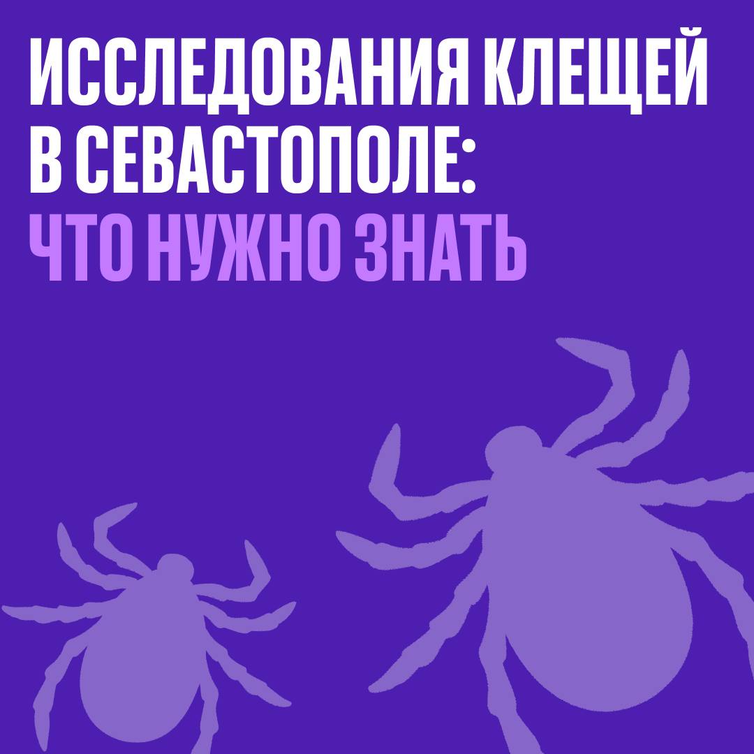 В Севастополе появились лаборатории исследования клещей на энцефалит