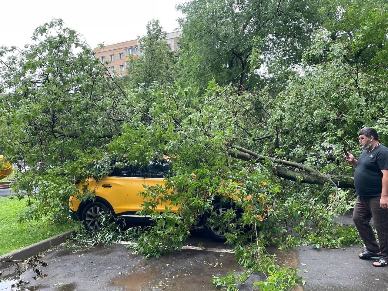 В результате урагана в Москве погибли два человека, еще 35 пострадали