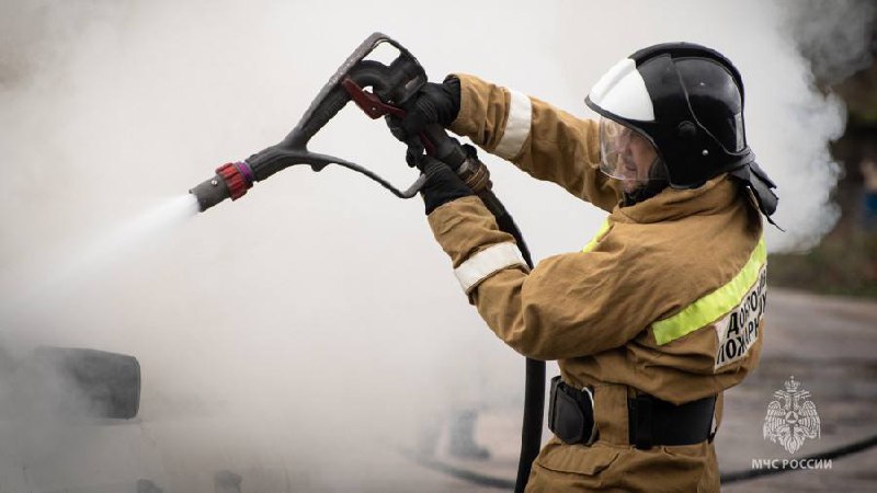 В Севастополе с 5 июля вводится особый противопожарный режим