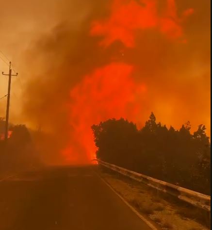 Из-за лесного пожара под Новороссийском с баз отдыха эвакуировано более 500 человек