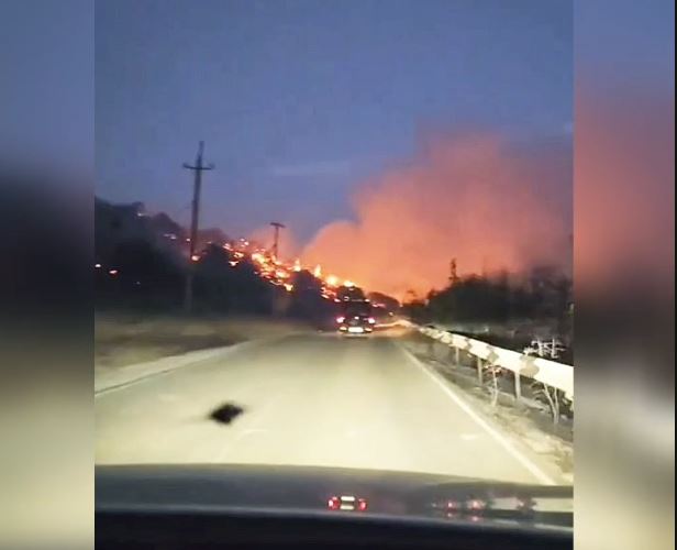 Под Новороссийском горел лес на площади более 60 га