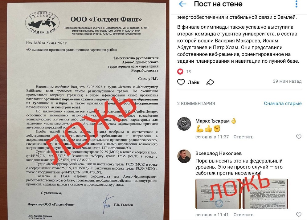 Губернатор Севастополя опроверг фейк о зараженной рыбе возле берега