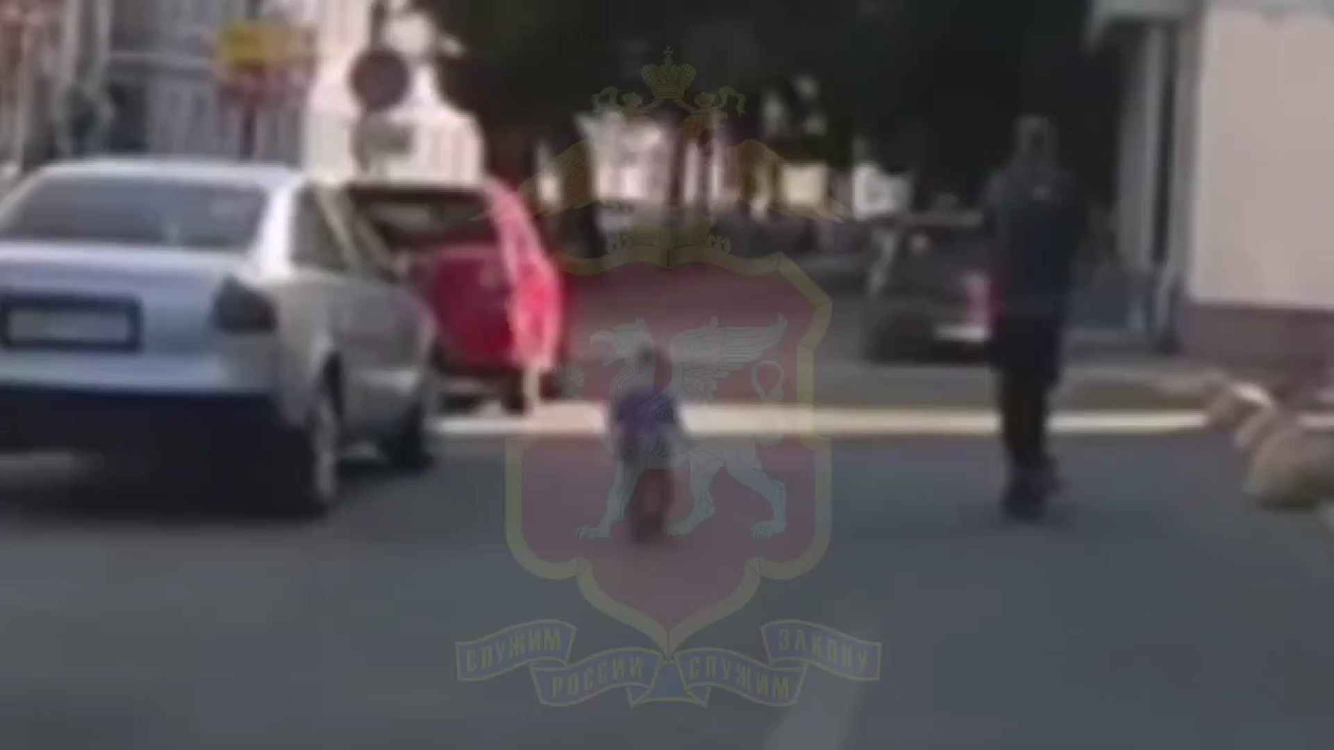 В Симферополе двухлетний и годовалый малыши самостоятельно пошли гулять по городу, пока мама спала (видео)