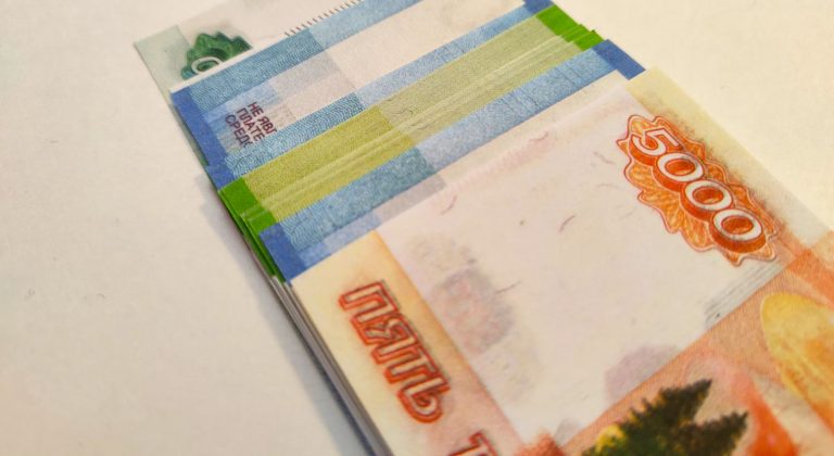 Ежемесячные выплаты домохозяйкам одобряют 57% россиян — опрос