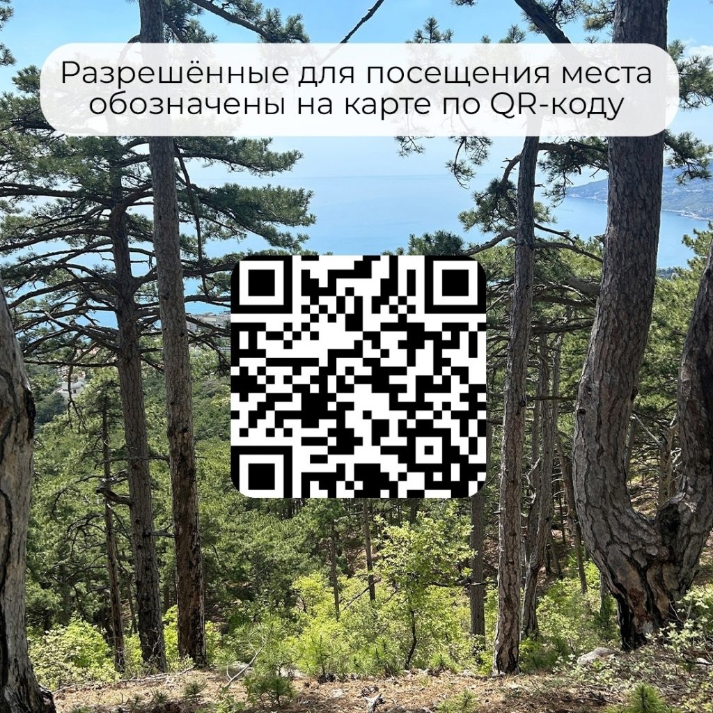 В Крыму продлили ограничение на посещение лесов из-за высокой вероятности пожаров