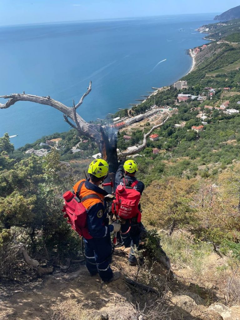 В Крыму в результате лесного пожара выгорело 2,3 га особо охраняемой территории в заказнике "Кастель"