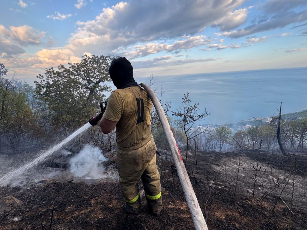 Лесной пожар на горе Кастель под Алуштой ликвидировали, огонь уничтожил 8 гектаров