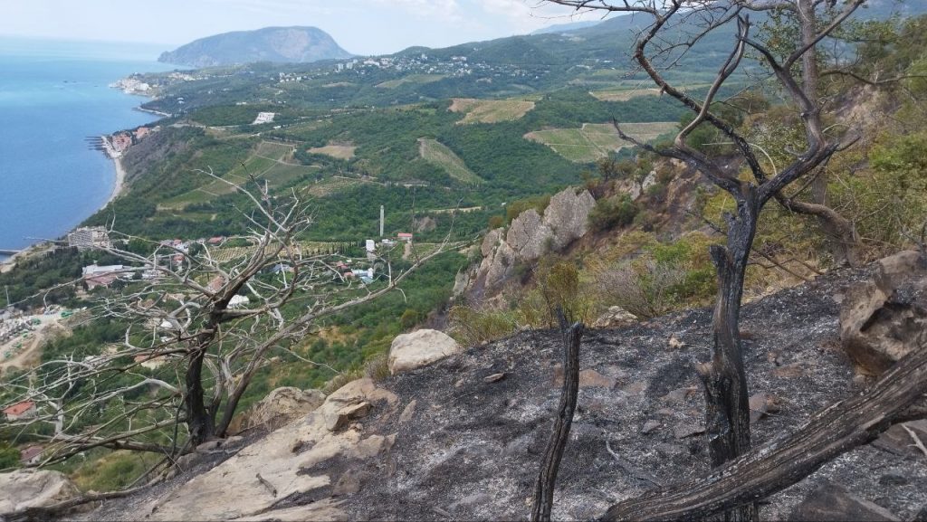 Лесной пожар на горе Кастель под Алуштой ликвидировали, огонь уничтожил 8 гектаров