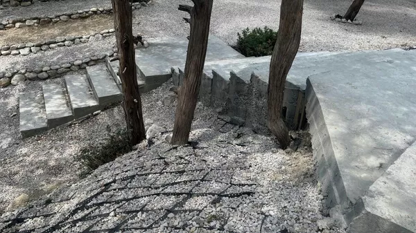 Арендатор заплатит 1,5 млн за ущерб, нанесенный заказнику Ласпи в Севастополе