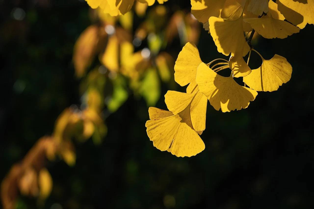 В Крыму 9 ноября ожидается 19 градусов тепла, в Севастополе — +15