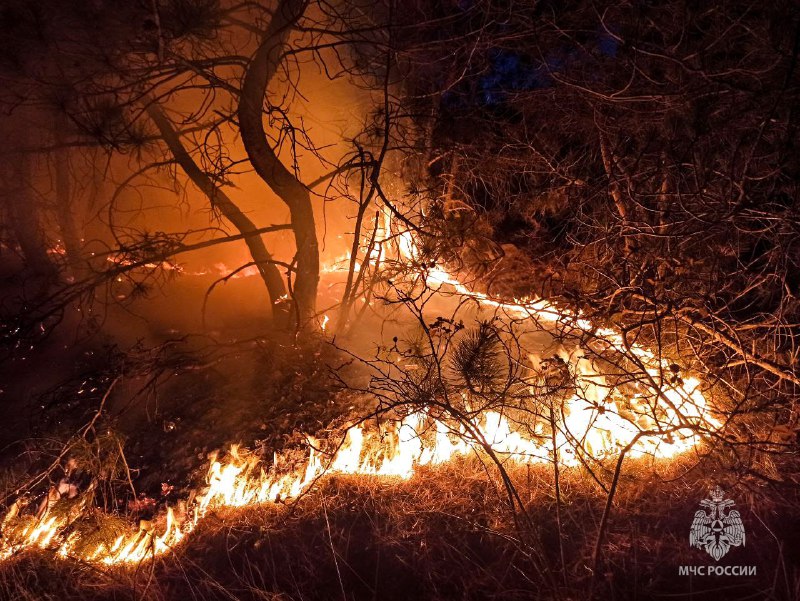 В Севастополе произошел пожар, горела трава