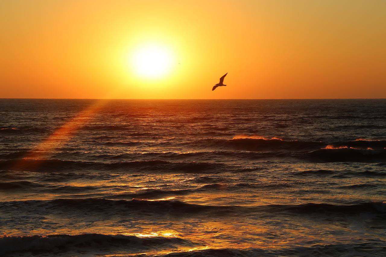 В Крыму и Севастополе 6 ноября без осадков, до +19