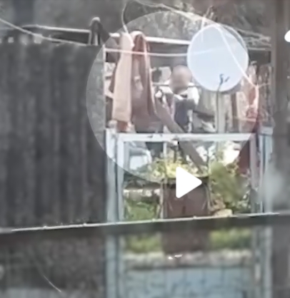 В Крыму мужчина издевается над домашними питомцами - соседи обратились в полицию