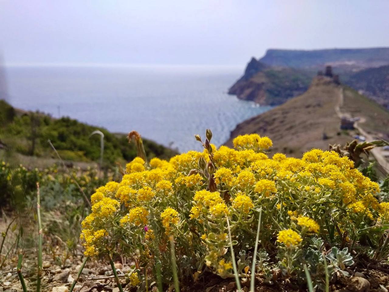 В Севастополе в ближайшие дни ожидается теплая погода