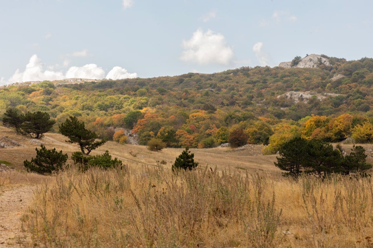 В Крыму и Севастополе 26 ноября тепло и без осадков, до +18