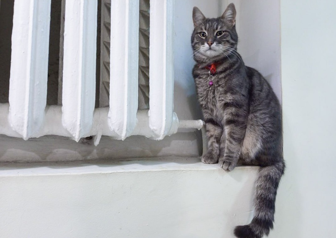 Прокуратура контролирует восстановление подачи отопления в Саках после аварии на тепломагистрали