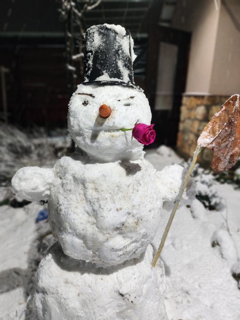 Снежная стихия парализовала движение под Севастополем