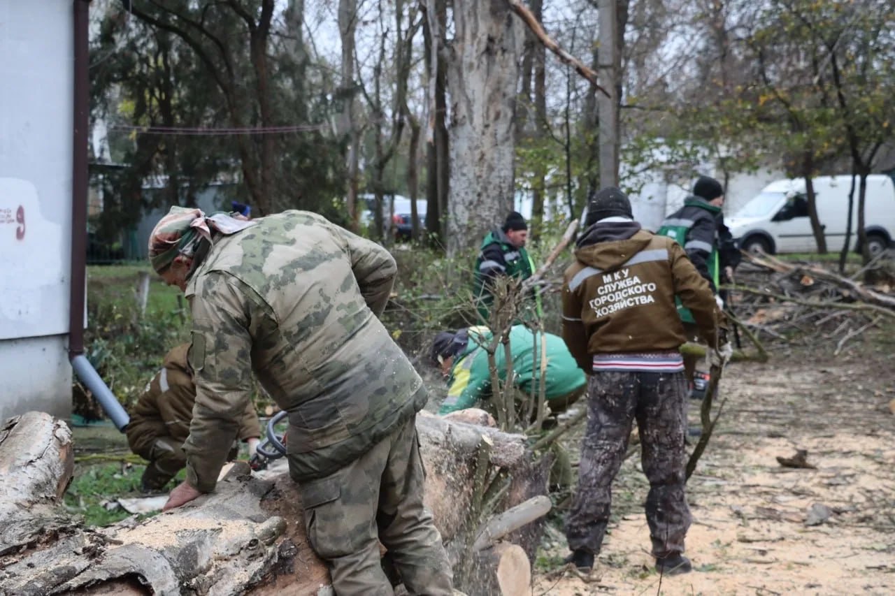 В Керчи после штормового ветра оборваны провода и повалены деревья