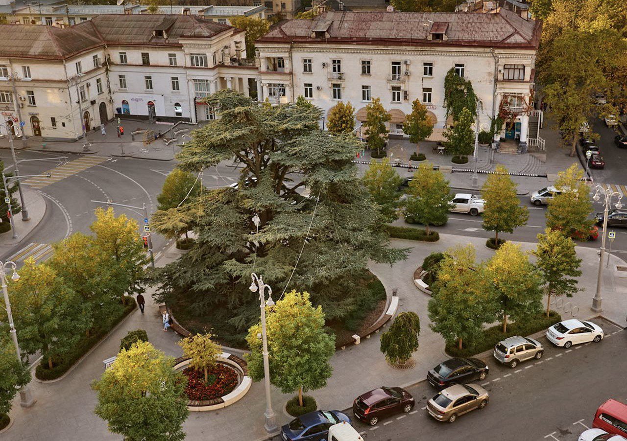 В Крыму и Севастополе 19 декабря без существенных осадков, до +12