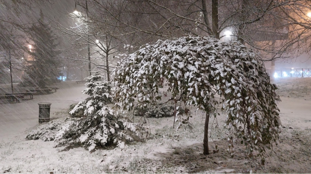 Симферополь замело снегом: коммунальщики с утра расчищают улицы