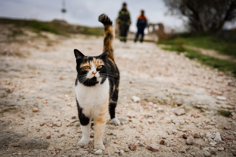 В Крыму 25 января ожидается мокрый снег, в Севастополе — без существенных осадков