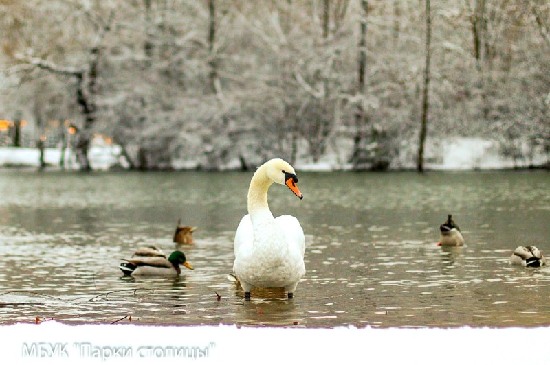 В Крыму и Севастополе 22 января ожидается переменная облачность, без осадков