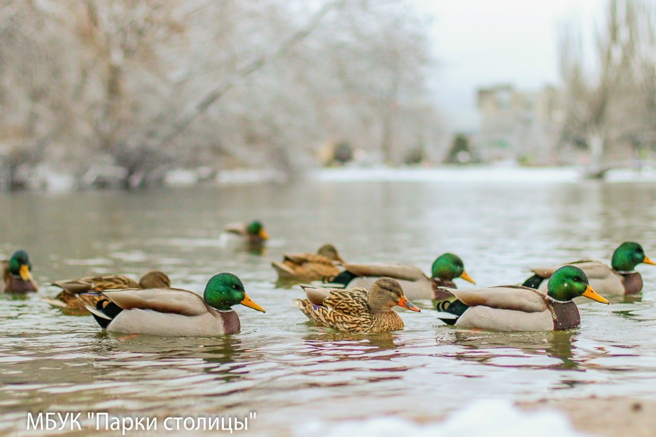 В Крыму и Севастополе 11 января ожидается дождь и сильный ветер
