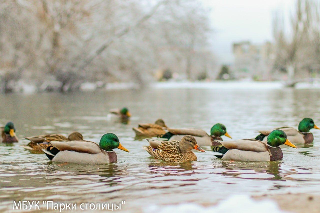 В Крыму 3 января пройдут дожди, местами — сильные, ожидается сильный ветер