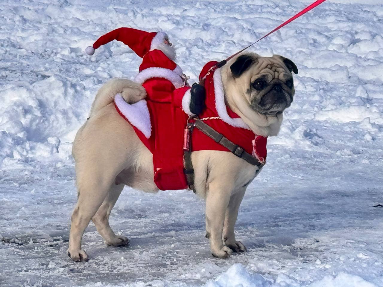 В Крыму 18 января холодно и ветрено, местами снег, в Севастополе — без осадков